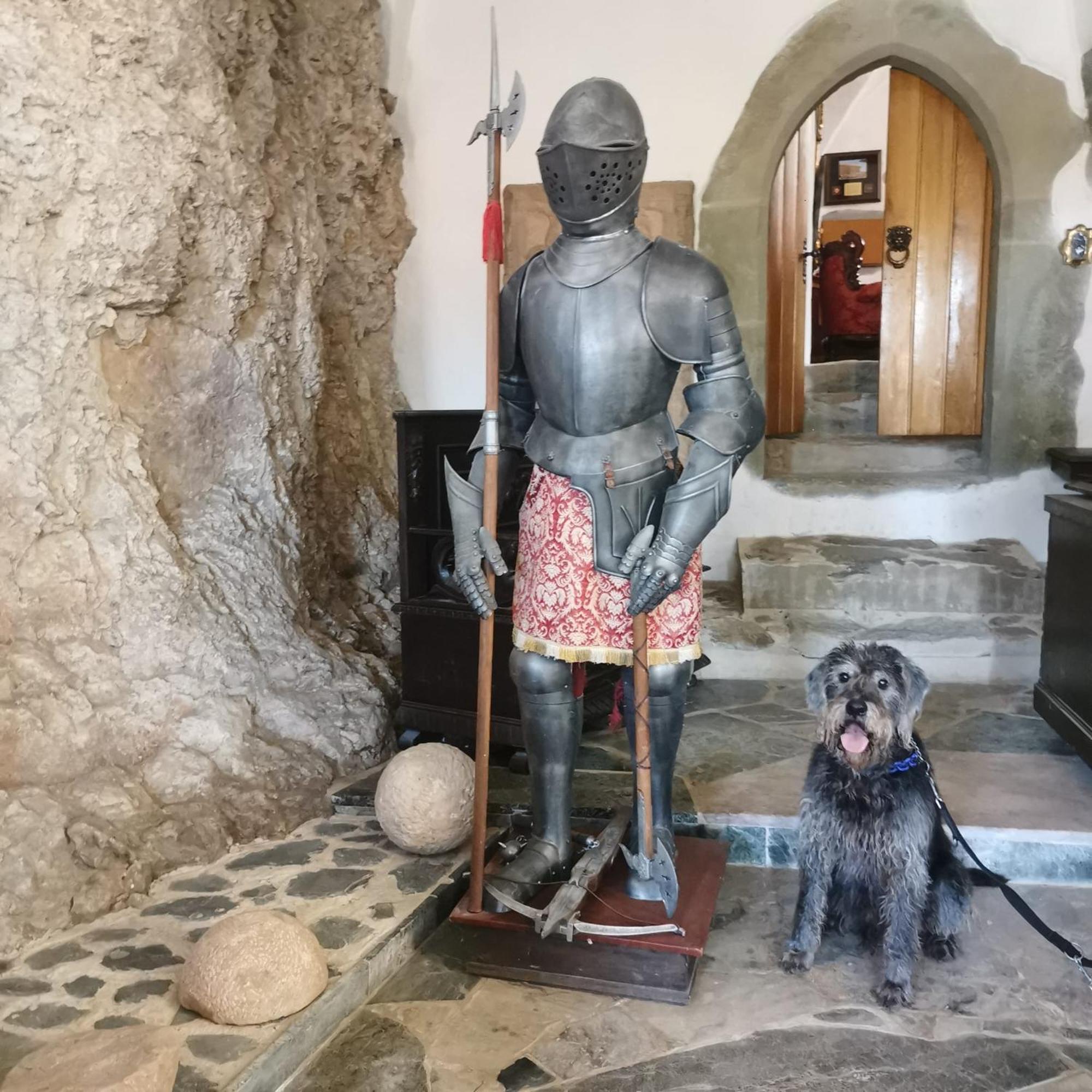 Burg Hermannstein - Monks Room Wetzlar Buitenkant foto